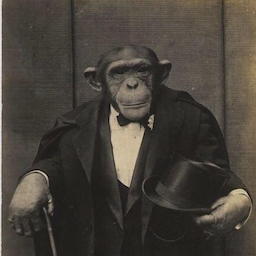 DapperMonkey.'s Avatar