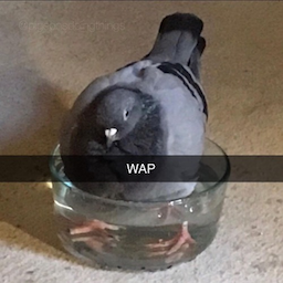 Rel4n.'s Avatar