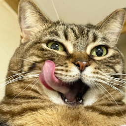 Chonker.DP's Avatar