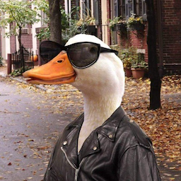 SUKMACOKK's Avatar