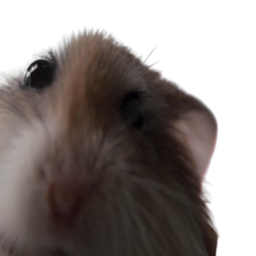 Strada.'s Avatar
