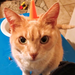 bweadstick's Avatar