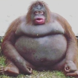 penerpxllz's Avatar
