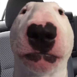 Zazou___'s Avatar