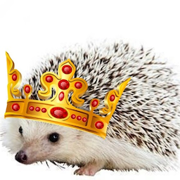 soennik's Avatar