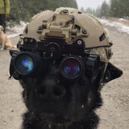 GoingBark's Avatar