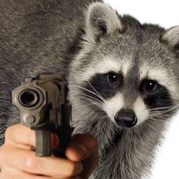 racwiththegat's Avatar