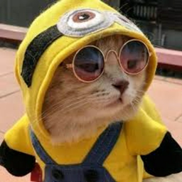 mogdri.'s Avatar