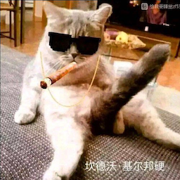 Xin-Ge's Avatar