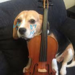 ViolinistDog's Avatar