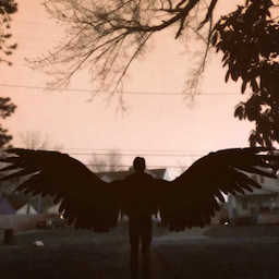 St.Phoenix's Avatar