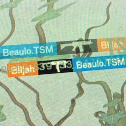 Blijah's Avatar