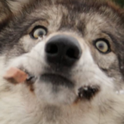 LOBEX.FX's Avatar