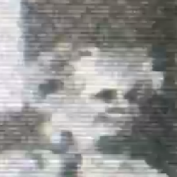 Stizzisaur's Avatar