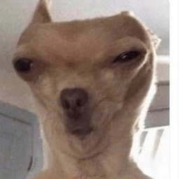 KING_sock's Avatar