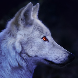Neemoou's Avatar