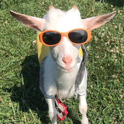 Peekin.'s Avatar