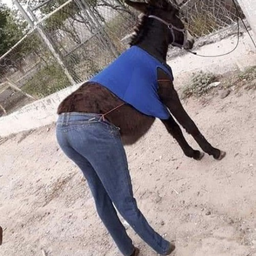 HandsOnPantsOff's Avatar