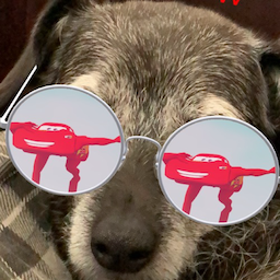 seanwvyy's Avatar