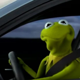 TBG_Kermit's Avatar