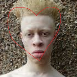 Vijidis's Avatar