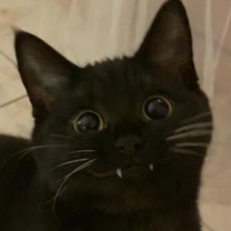 SRTHAMY's Avatar