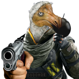 DodoHoe's Avatar