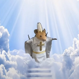 vSavio's Avatar
