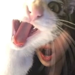 risks's Avatar