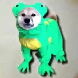 FrogeDoge's Avatar