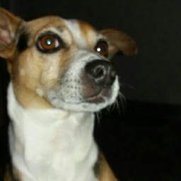 JUICE_OF_FRUIT's Avatar