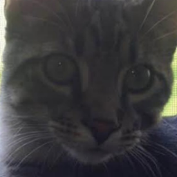 SeaWon's Avatar