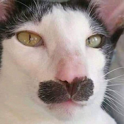 Snellix's Avatar