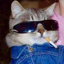 Tryxx.'s Avatar