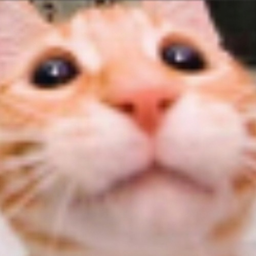 Xennyyyy's Avatar
