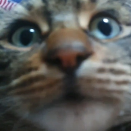 Ercole_Sterolo's Avatar
