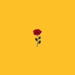 primaIs's Avatar