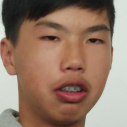 lilNihlet's Avatar