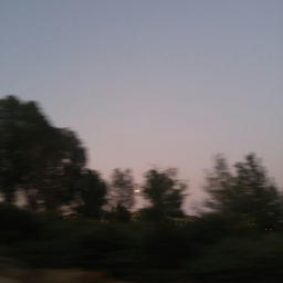 LilAhDihh's Avatar