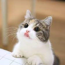 Momoww_2's Avatar