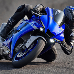 R1-.'s Avatar