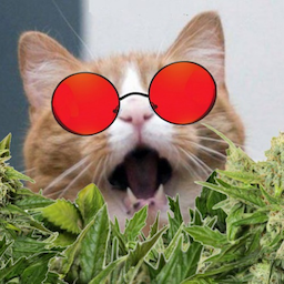OliSchatt's Avatar