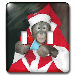 ChrlstmasMonke's Avatar