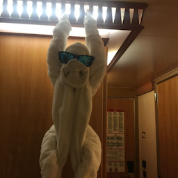 palmerqsii's Avatar