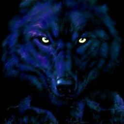 Skvoznyak12's Avatar