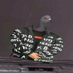 Gustus-Squat's Avatar