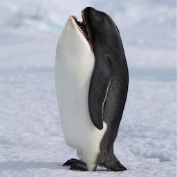 MrFloppapotamus's Avatar