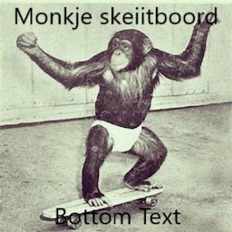 monkje's Avatar