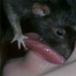 RatLover's Avatar