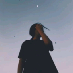 bertizbulls.'s Avatar
